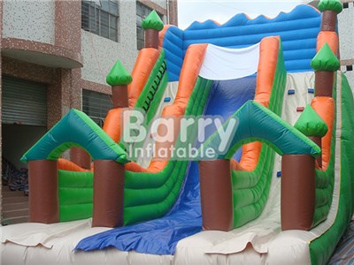 Commercial Grade Factory Cheapest Tropical Inflatable Slide  BY-DS-040